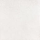 25666E ALPINE WHITE MATTE 60CM RECT